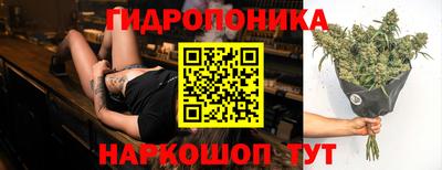 apvp Гатчина