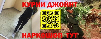 гидра Гай