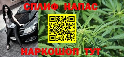 гидра Гай