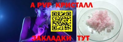 гидра Гай