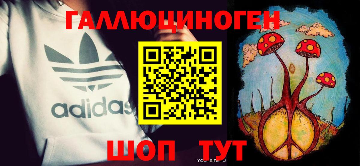 Псилоцибиновые грибы Cubensis  Вход с VPN  купить   Камень-на-Оби  Псилоцибиновые грибы мухоморы 
