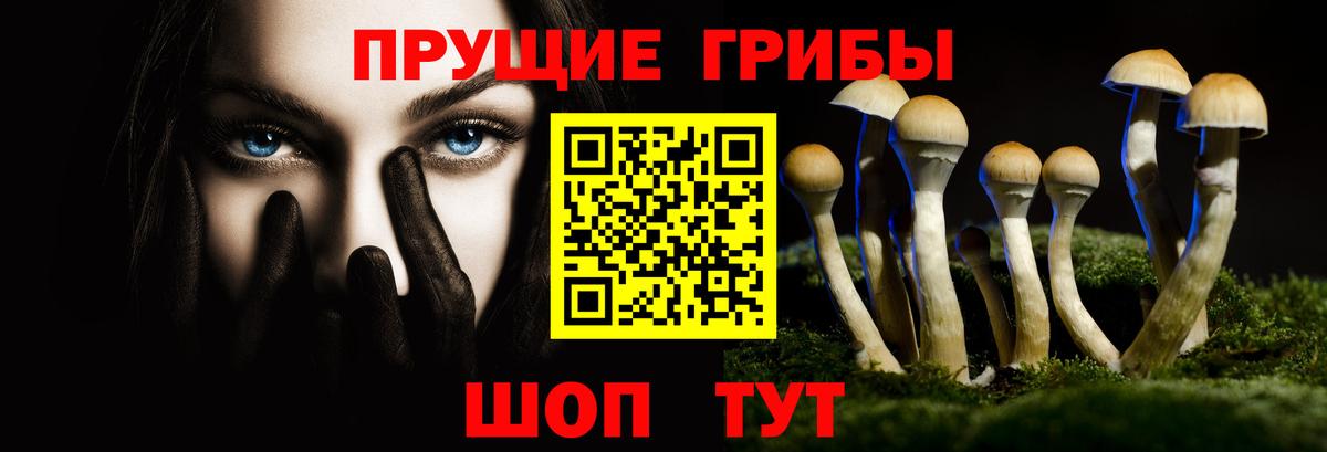 Псилоцибиновые грибы Magic Shrooms Камень-на-Оби